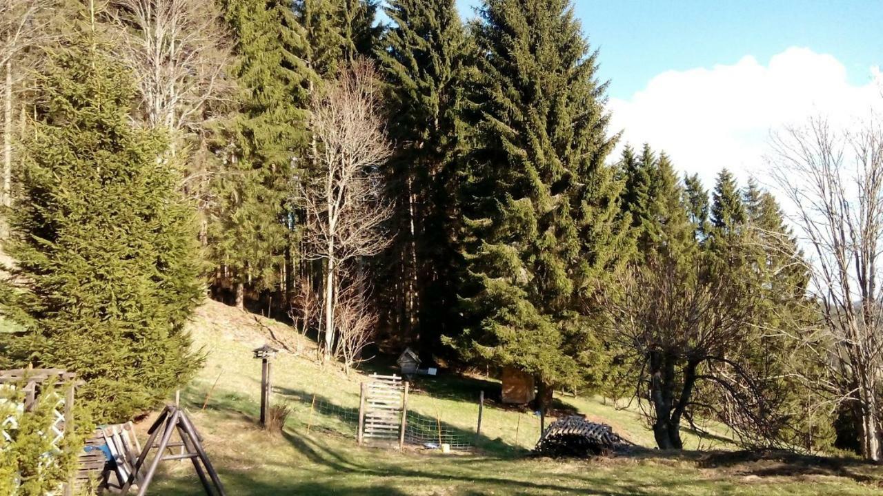 Gaestehaus Fridolin Krieglach Zewnętrze zdjęcie