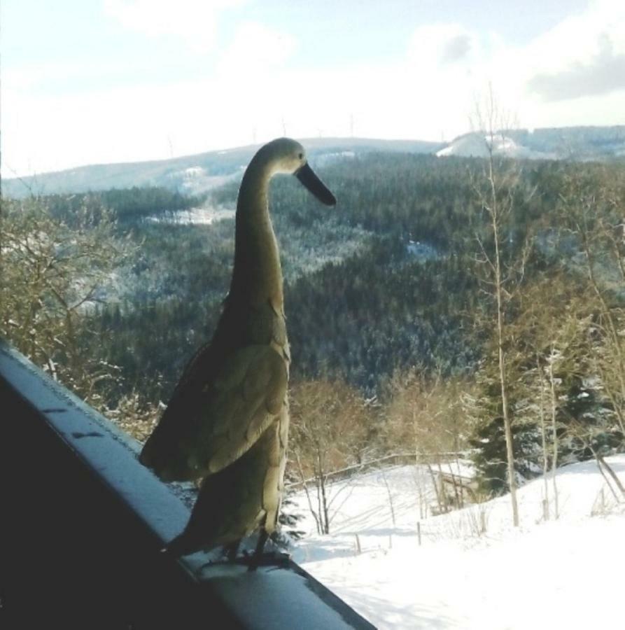 Gaestehaus Fridolin Krieglach Zewnętrze zdjęcie