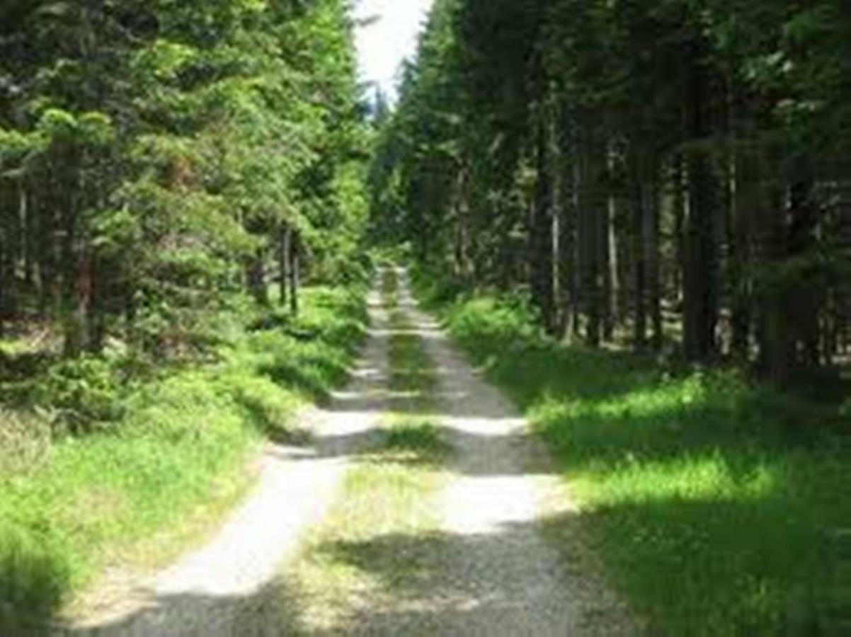 Gaestehaus Fridolin Krieglach Zewnętrze zdjęcie
