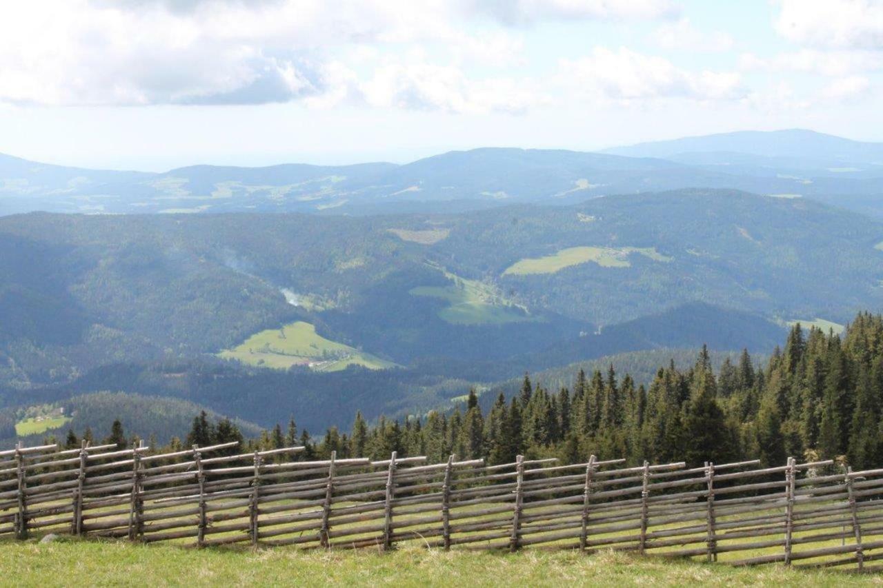 Gaestehaus Fridolin Krieglach Zewnętrze zdjęcie